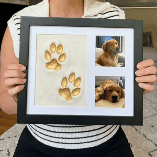 The Clay Paw Print Kit