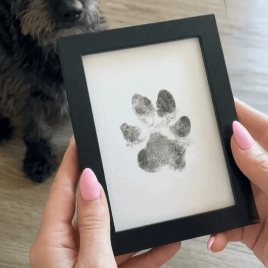 The Paw Print Kit