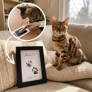 The Purrfect Print Kit