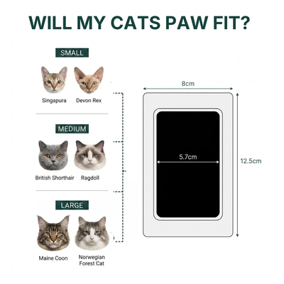 The Purrfect Print Kit