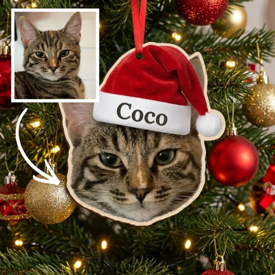 Personalized pet Christmas ornament — example 3