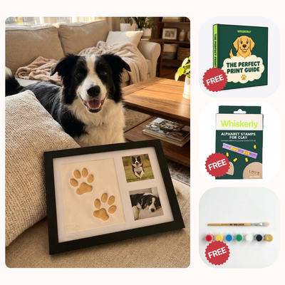 The Clay Paw Print Bundle