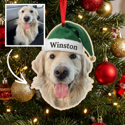 Personalized pet Christmas ornament — example 4