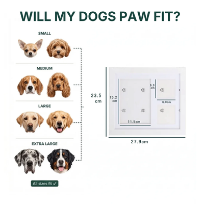 The Clay Paw Print Kit