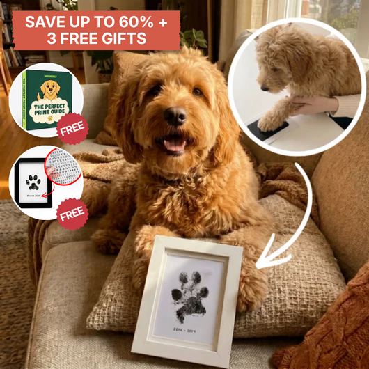 The Paw Print Bundle