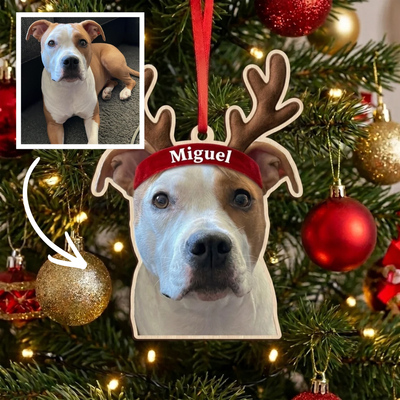 Personalized pet Christmas ornament — example 5