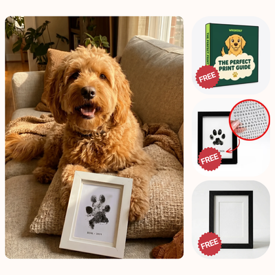 The Paw Print Bundle