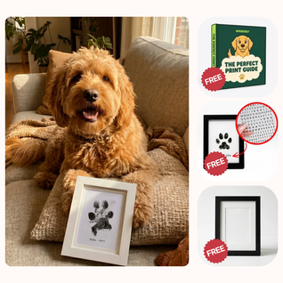 The Paw Print Bundle