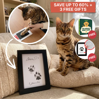 The Purrfect Print Bundle