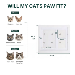 The Clay Toe Bean Print Kit