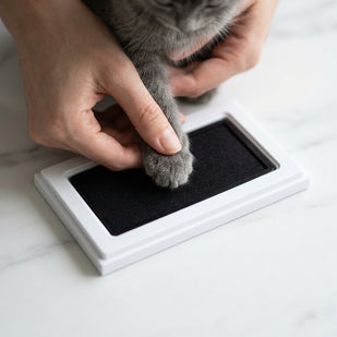 Place his paw on the pad