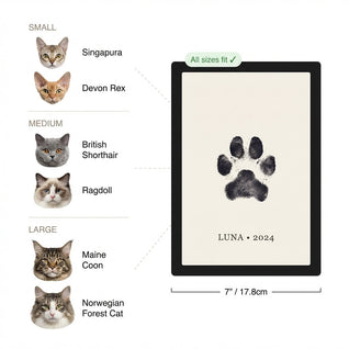 The Purrfect Print Kit