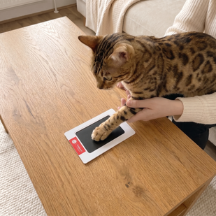 Place his paw on the pad