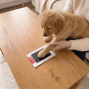 Place his paw on the pad