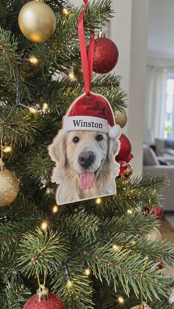 Pet Christmas ornament example 1