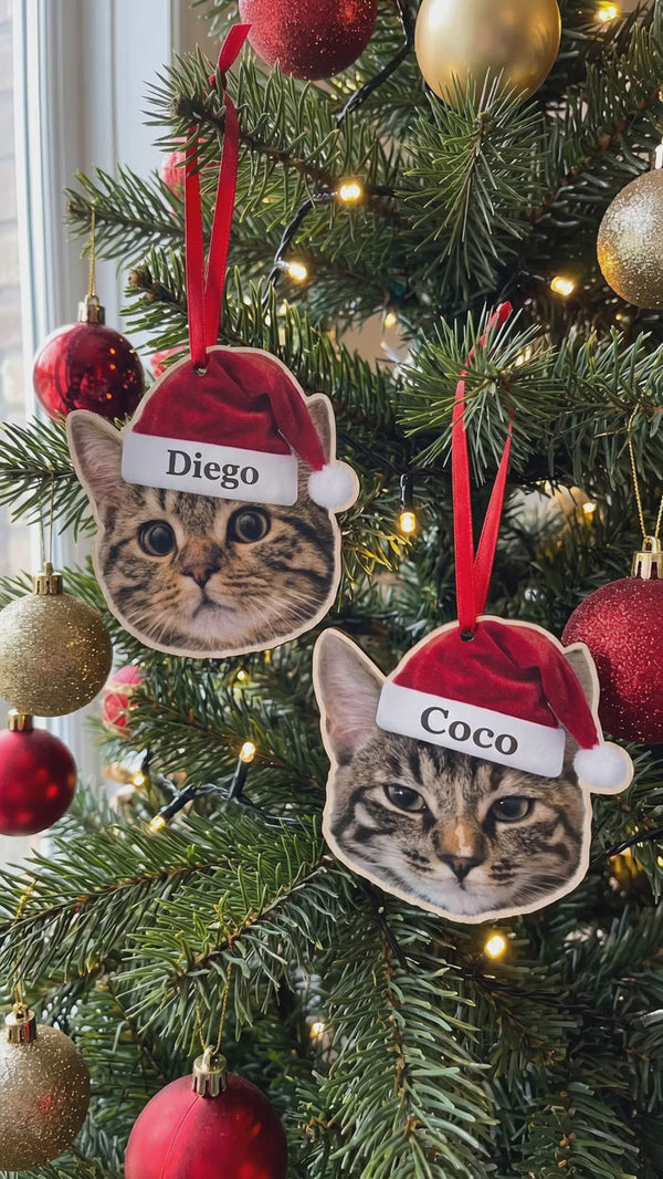 Pet Christmas ornament example 2