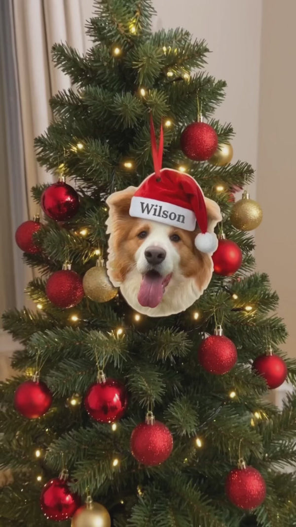 Pet Christmas ornament example 3