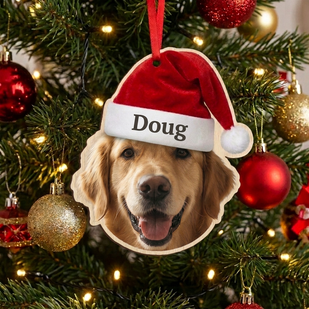 Preview your ornament